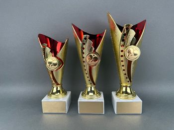 Huvudbild Trofé Ida