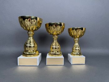 Huvudbild Pokal Mattias