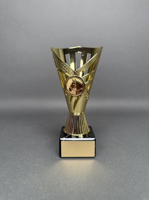 Huvudbild Trofé Aino, Guld, 170mm